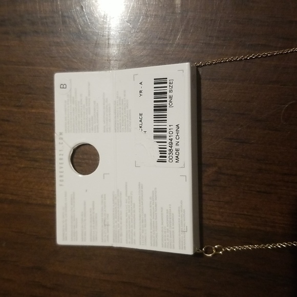 Forever 21 Dainty Necklace - Picture 5 of 5